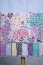 Vira Cashmere Fine Wool Kani Border Stole, size-70x200cm (2).webp