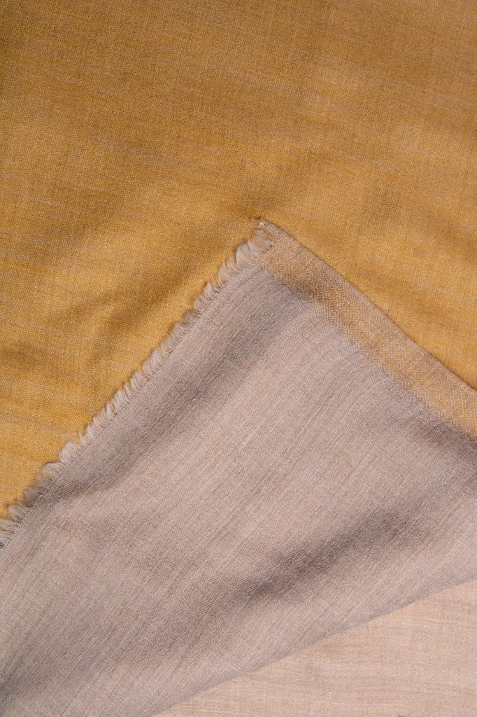 VIC-CFW-RV-003 (4).webp